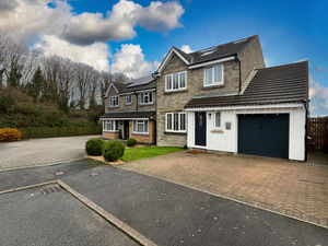 Photo 1- click for photo gallery